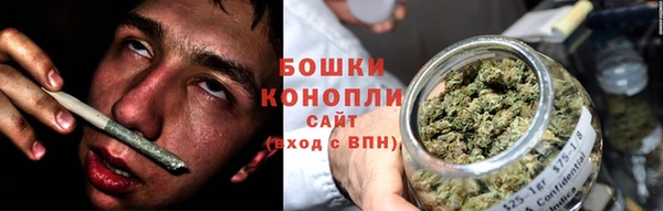 MESCALINE Аркадак
