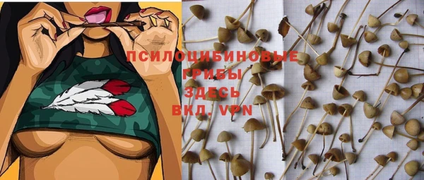 твердый Михайловка