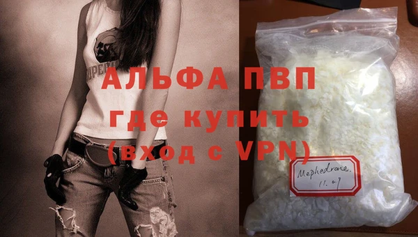 шишки Михайловск