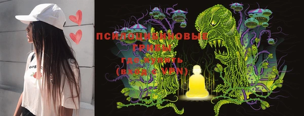 MESCALINE Аркадак