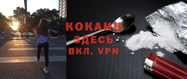 шишки Михайловск