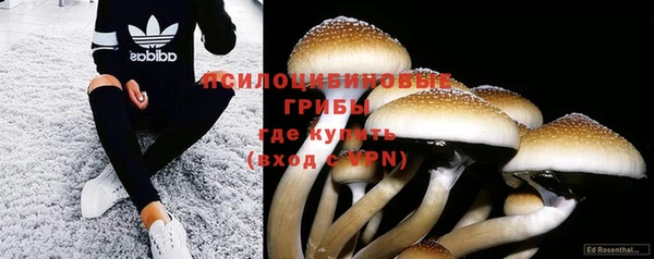 твердый Михайловка