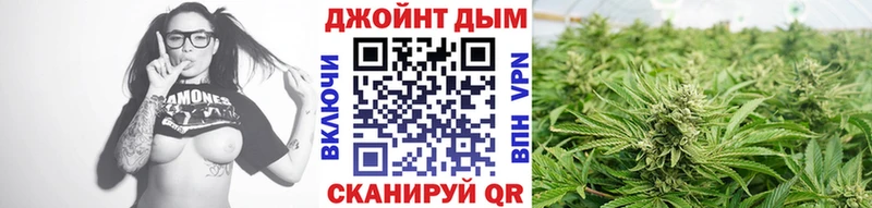 Каннабис Amnesia Мончегорск